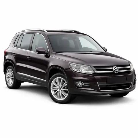 VW TIGUAN LIFE - Kromeriz car rental